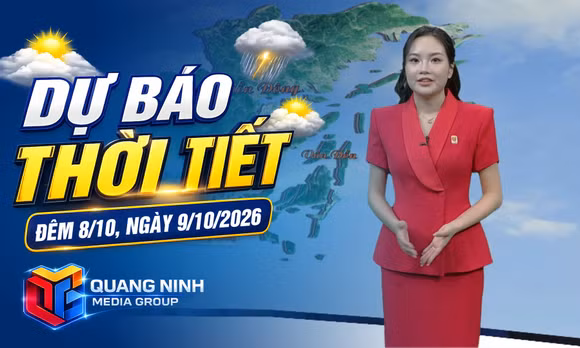 Dự báo thời tiết đêm 8/10, ngày 9/10/2026