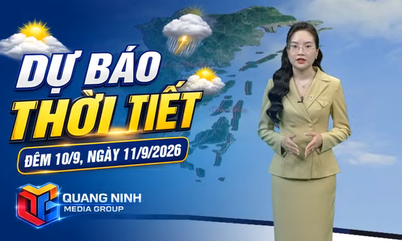 Dự báo thời tiết đêm 10, ngày 11/9/2026