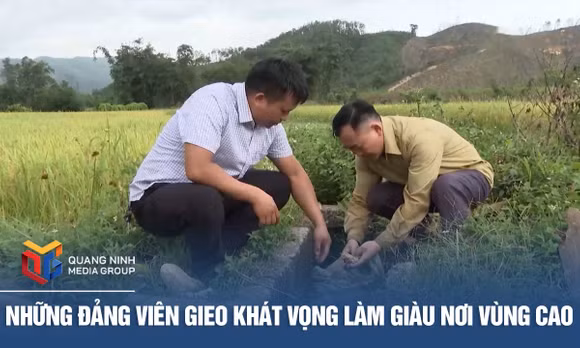 Những đảng viên gieo khát vọng làm giàu nơi vùng cao