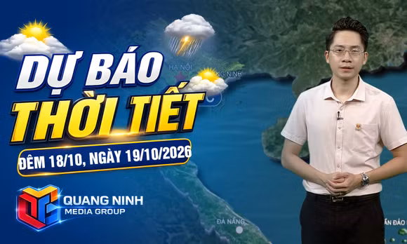 Dự báo thời tiết đêm 18, ngày 19/10/2026