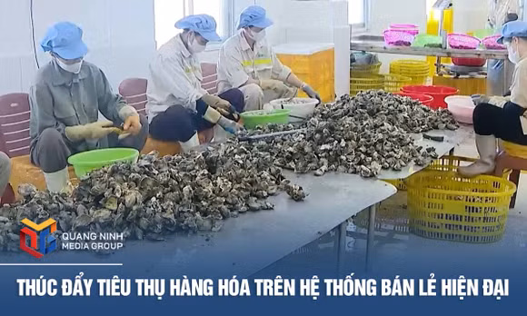 Thúc đẩy tiêu thụ hàng hóa trên hệ thống bán lẻ hiện đại