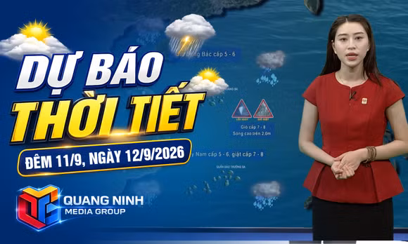 Dự báo thời tiết đêm 11, ngày 12/9/2026