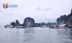 Ngành “công nghiệp không khói” vươn tầm