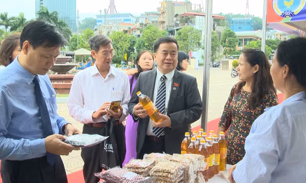 Đòn bẩy cho phát triển kinh tế tập thể