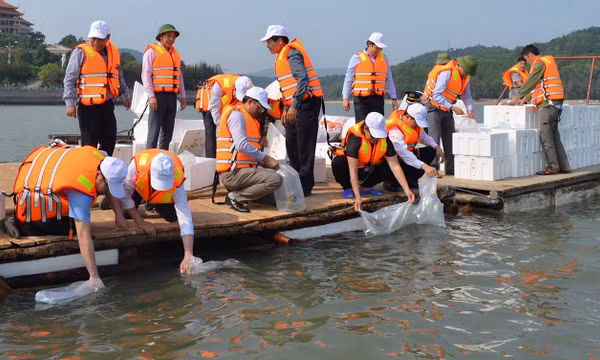Bảo vệ, phát triển nguồn lợi thủy sản bền vững