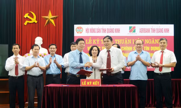 Ngành Ngân hàng: Đáp ứng nhu cầu vốn cho lĩnh vực ưu tiên