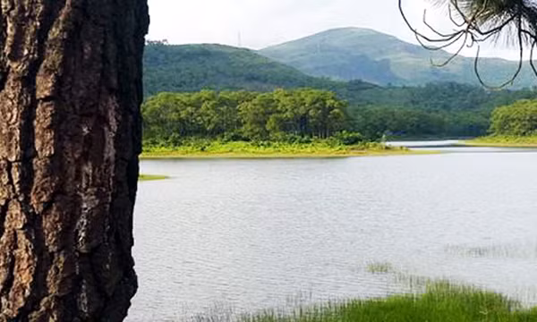 Có một "Đà Lạt" của Uông Bí