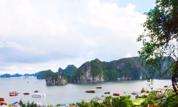 Đánh thức "tiên cảnh" giữa lòng phố Mỏ