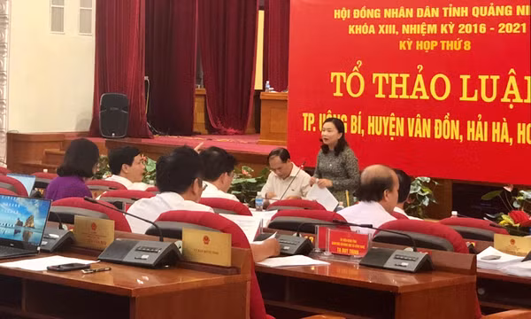Đại biểu HĐND tỉnh thảo luận tổ: Trách nhiệm với sự phát triển bền vững của tỉnh