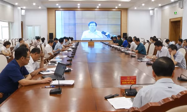 Tăng cường phòng, chống dịch tả lợn châu Phi
