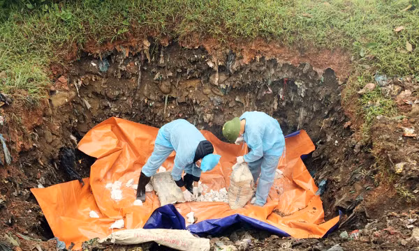 Quảng Ninh tăng cường phòng, chống, khống chế dịch tả lợn châu Phi