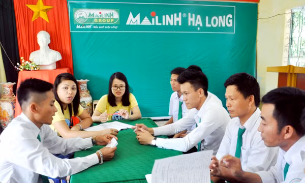 Xây dựng thành phố du lịch Hạ Long: Dạy tiếng Anh miễn phí