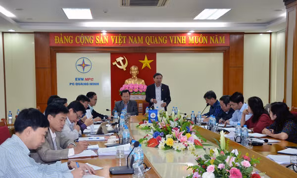 Ban Kinh tế-Ngân sách HĐND tỉnh làm việc với Công ty Điện lực Quảng Ninh