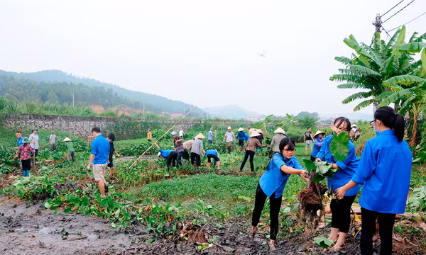 Vì một Hạ Long xanh - sạch - đẹp
