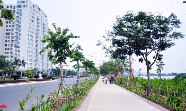 Hạ Long xóa "mạng nhện người giăng"