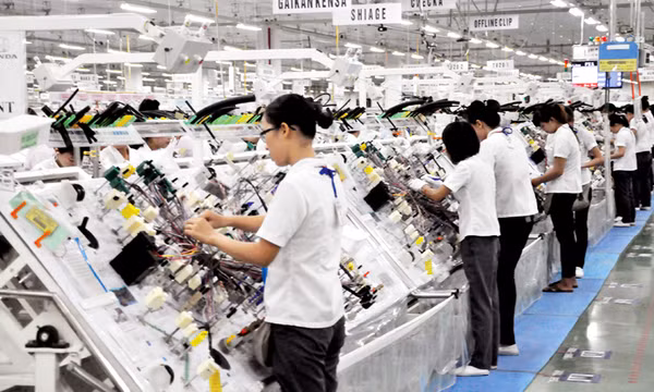 Năm 2015: Những thành tựu nổi bật: Phát huy "ngoại lực"