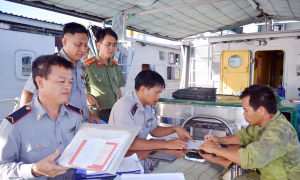 Bảo vệ và phát triển nguồn lợi thủy sản bền vững - Bài 2: Chế tài đã mạnh, nhưng vi phạm vẫn nhiều