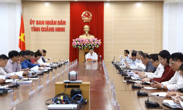 Kiểm điểm công tác chỉ đạo, điều hành của UBND tỉnh