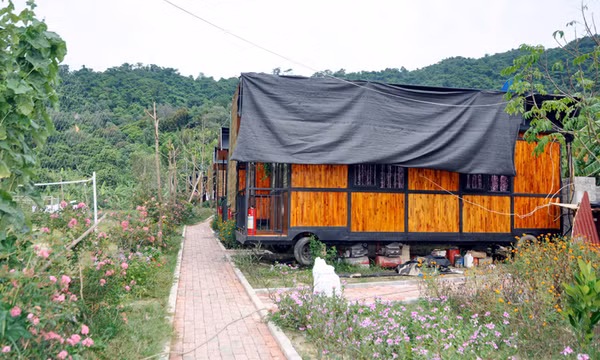 Độc đáo Cô Tô Garden