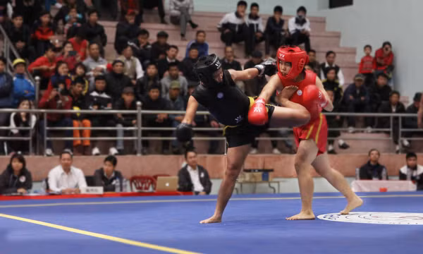 Wushu Quảng Ninh giành 7 huy chương tại đại hội