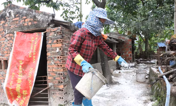 Phòng chống dịch tả lợn châu Phi: Quảng Yên cần quyết liệt hơn