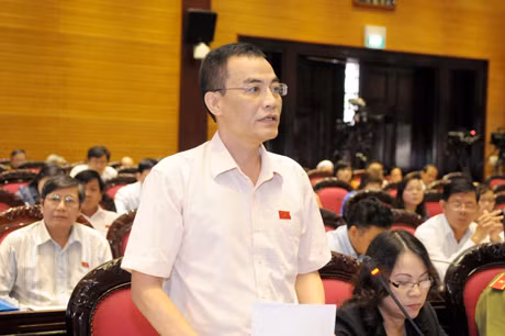 Đoàn ĐBQH tỉnh tham gia thảo luận về dự thảo Luật Nhà ở (sửa đổi)