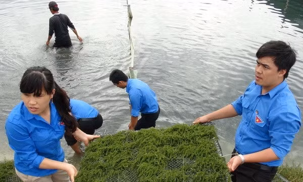 Giáo dục đạo đức, bồi dưỡng lý tưởng cách mạng cho thế hệ trẻ