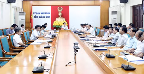 Đề án của các cơ quan tham mưu tổng hợp phải bám sát mục tiêu đổi mới của tỉnh