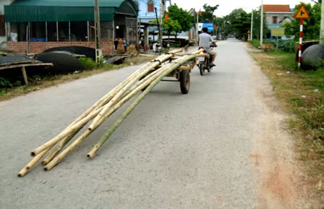 "Nghênh ngang nào biết trên…đường có ai" (!)