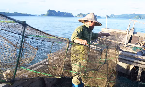Mục sở thị những "hung thần" tận diệt nguồn lợi thủy sản