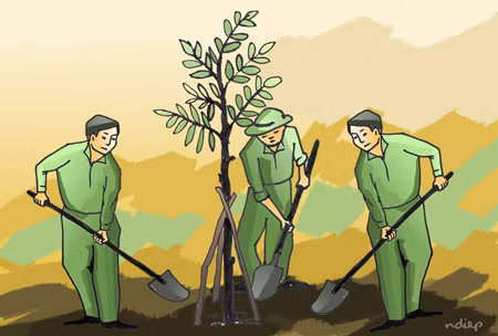 Tết trồng cây trở thành nét đẹp truyền thống của văn hóa Việt