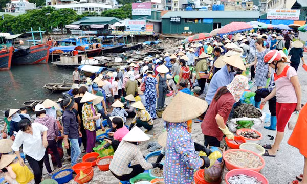 Chợ cá Hạ Long