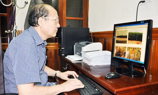 Trồng thử nghiệm cây dừa nước tại Quảng Ninh