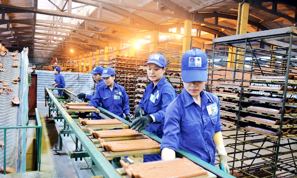 Một chặng đường nhiều thành quả