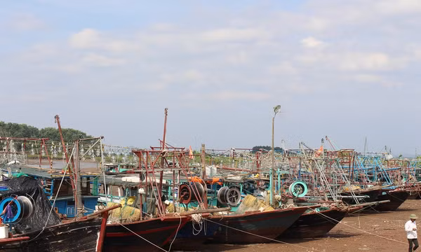 Tuyệt đối không để xảy ra thiệt hại về người trong cơn bão số 2