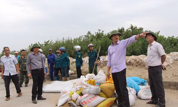 Chạy bão Sarika
