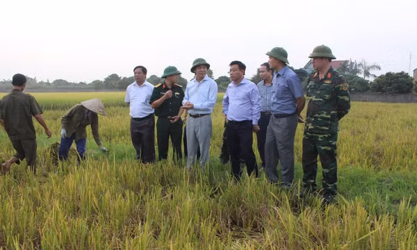 Chủ động ứng phó bão Sarika- Quảng Ninh sẽ không để xảy ra thiệt hại lớn do bão