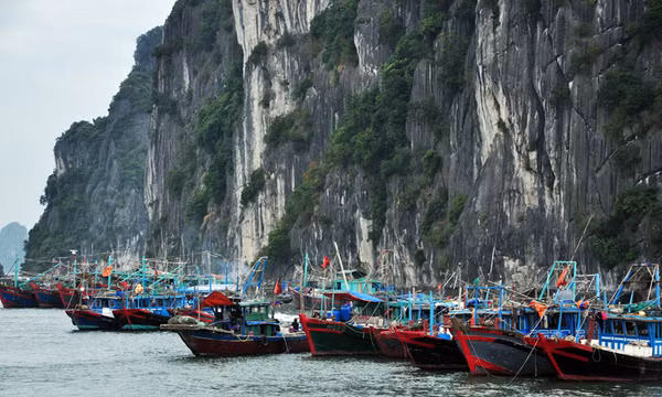 Bão số 7 hướng về Quảng Ninh, tàu bè khẩn trương về nơi tránh trú