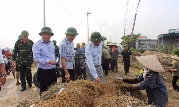 Huy động phương tiện máy móc, hỗ trợ nhân dân sớm thu hoạch lúa chín trong ngày 18/10