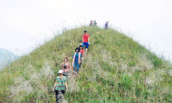 Biên cương Bình Liêu mùa hoa cỏ lau