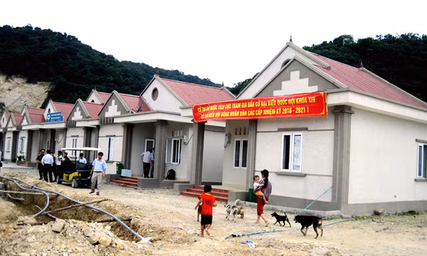 Háo hức cử tri đảo Trần