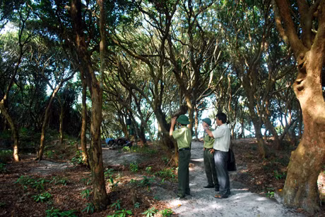 Viên ngọc sáng Minh Châu