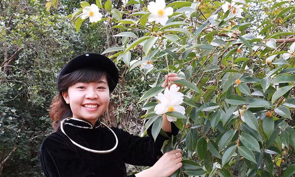 Rạng rỡ về dự hội hoa sở