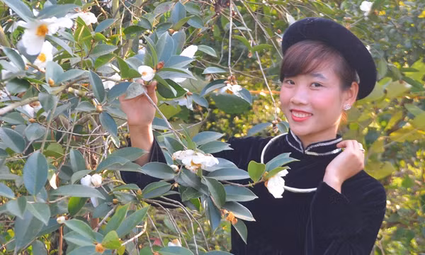 Cùng khoe sắc