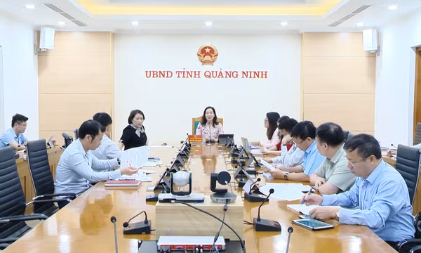 Thẩm định dự thảo Đề án Phát triển giáo dục mầm non tư thục giai đoạn 2020 - 2025