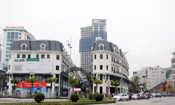TP Hạ Long: Quyết liệt các giải pháp thu ngân sách từ đầu năm