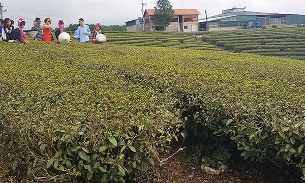 "Chủ động và bứt phá với khát vọng vươn lên"
