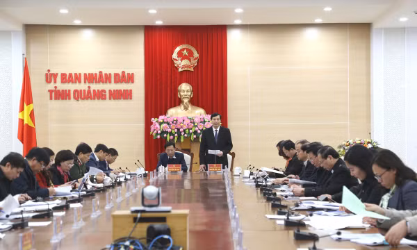 Triển khai thực hiện các nghị quyết của Chính phủ, Tỉnh ủy, HĐND tỉnh