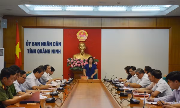 Báo cáo tiến độ triển khai Tuần VHTT các dân tộc vùng Đông Bắc