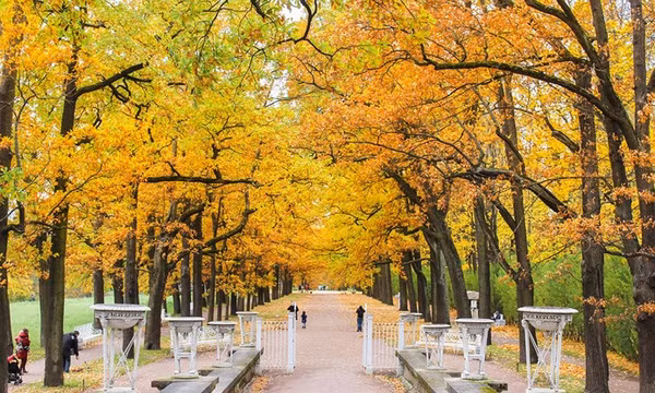  Autumn Park, St. Petersburg: Bên ngoài cung điện Catherine hoa lệ là con đường mùa thu với những sắc lá vàng tuyệt đẹp tựa như khung cảnh nên thơ trong những bộ phim lãng mạn.